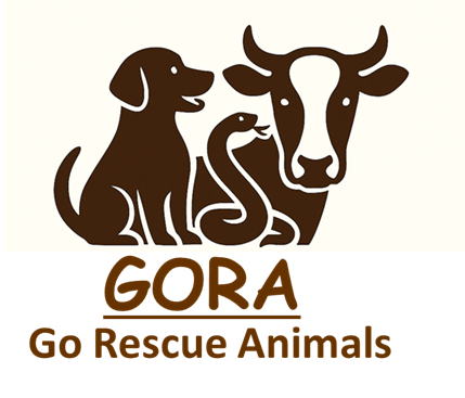 Gora Foundation Inc.